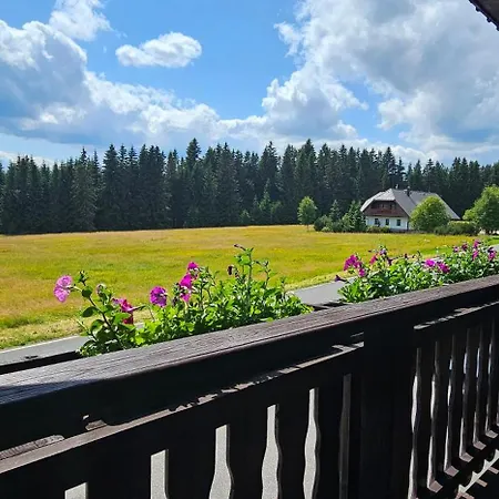 Horska Kvilda - Ubytovani U Chvalu Exterior photo