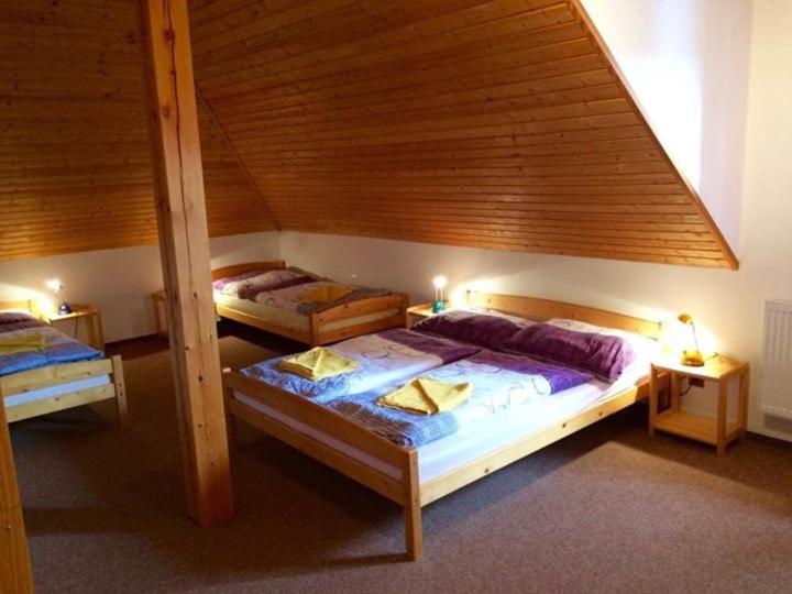 - U Chvalu Homestay *