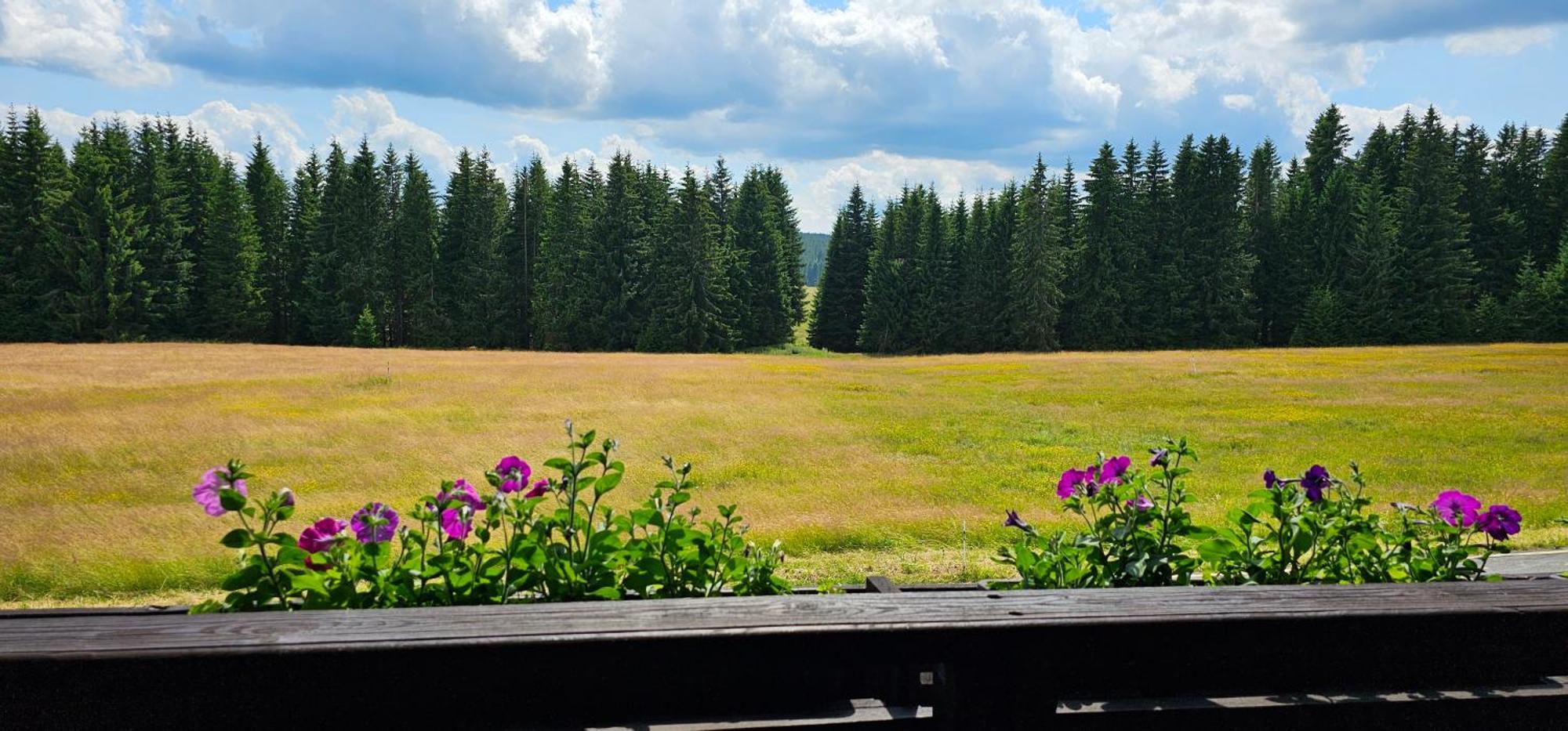 - U Chvalu Homestay Horska Kvilda
